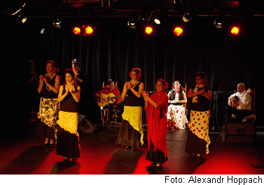 02 09 Flamenco-w
