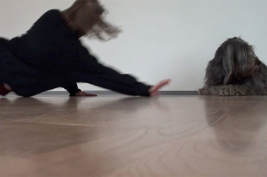 ID118-12-05-tanzwerk-kassel-performance