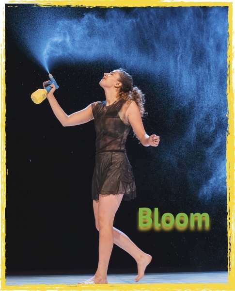ID275-11-29-bloom