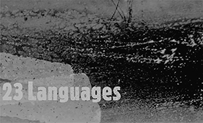 08 22 23Languages 290