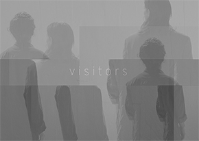 12 16 visitors 290